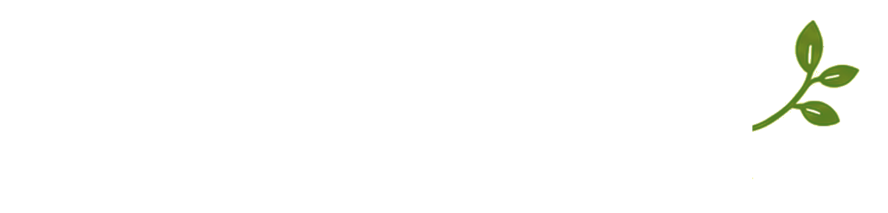 WeMeal